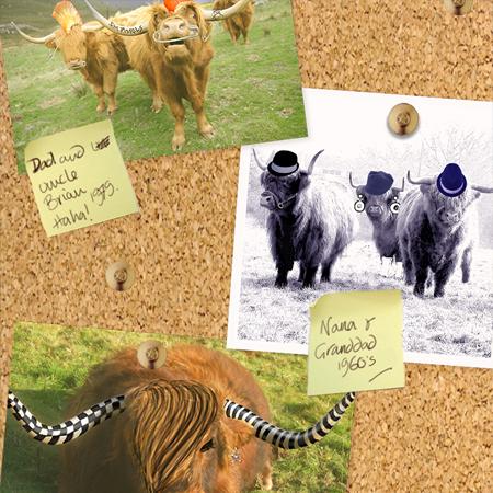 Photo-montage